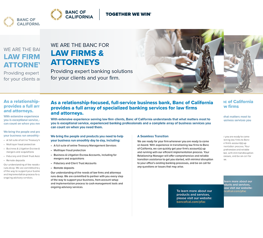 Lawyers Brochure PDF